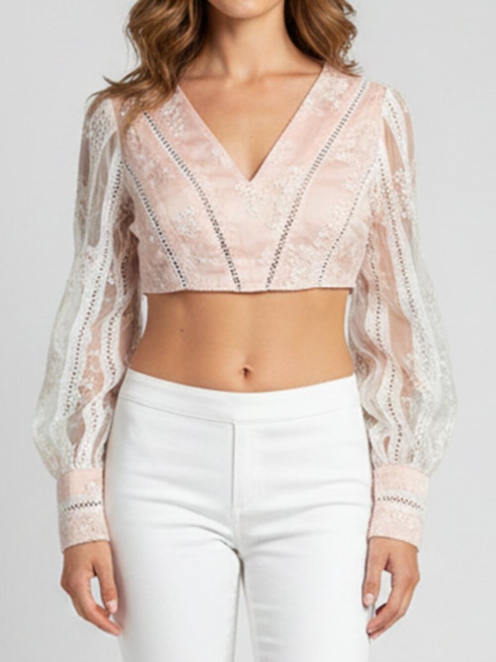 Embroidered Romantic Floral Rosy Pink Long Sleeve Vneck Crop Top‎ Sheer Back